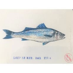 Affiche Aquarelle Bar - B&C